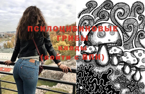 спайс Елизово