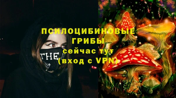 спайс Елизово
