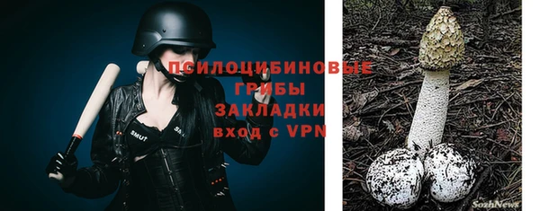 тгк Переславль-Залесский