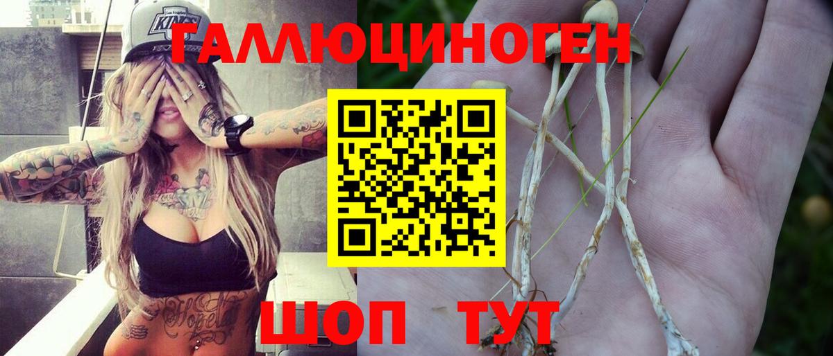 Псилоцибиновые грибы прущие грибы  Сердобск 