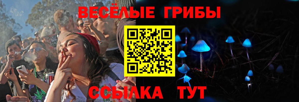 Псилоцибиновые грибы ЛСД Сердобск